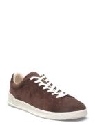 Polo Ralph Lauren Suede-Hrt Crt Ii-Sk-Ltl Brun