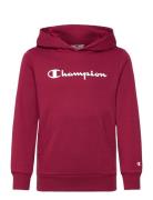 Champion Hooded Sweatshirt Burgundy