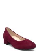 Gabor Pumps Burgundy
