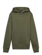 Ralph Lauren Kids Seasonal Fleece-Ls Po Hood-Tp-Knt Khaki Green