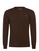 Polo Ralph Lauren 26/1 Jersey-Lsl-Tsh Brun