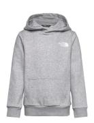 The North Face Teen Simple Dome Hoodie Grå