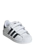 Adidas Originals Superstar Ii Cf C Vit