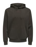 ONLY & SONS Onsceres Hoodie Sweat Noos Brun
