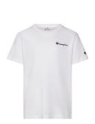 Champion Ss Tee Vit