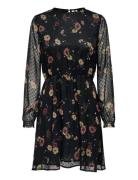 ONLY Carmakoma Careliza Life Ls O-Neck Dress Wvn Svart