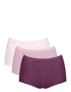 Sloggi Sloggi Basic+ Maxi C3P Rosa