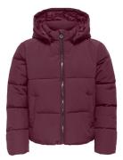 Kids Only Kogdolly Life Sht Puffer Jacket Otw Noos Lila