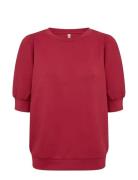 Soyaconcept Sc-Banu Röd