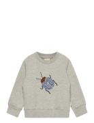 Petit Piao Ppdov Sweat Shirt Grå