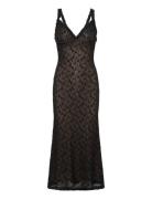 Bardot Alegra Stretch Lace Midi Dress Svart