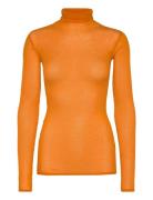 American Vintage Massachusetts Orange