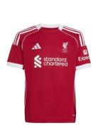 Adidas Performance Lfc H Jsy Y Röd