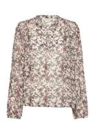 Part Two Sandipw Bl Rosa