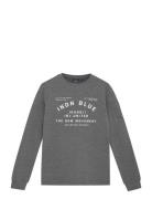 Indian Blue Jeans T-Shirt Longsleeve Indian Blue Grå