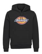 Dickies M Icon Logo Hoodie Svart