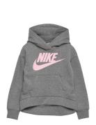 Nike Po-Pull-Over Hoody Grå