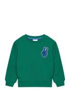 The New Tnstphineas Os Sweatshirt Grön
