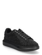 Steve Madden Icebox Svart