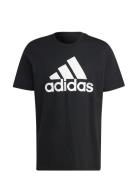 Adidas Sportswear M Bl Sj T Svart