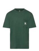 Converse Kt-S/S Knit Top Grön