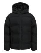 Jack & J S Jjesoho Puffer Hood Sn Jnr Svart