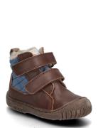 Bisgaard Bisgaard Helton Tex Brun