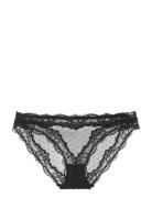Dorina Origins-Shimmer Dot Mesh Brief Brun
