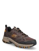 Skechers Mens Hillcrest - Vast Adventure Brun