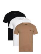 BOSS Tshirt Rn 3P Classic Multi/patterned