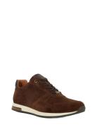 Dune London Trilogy Brun