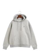 GANT Shield Hoodie Grå