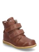 Bisgaard Bisgaard Edis Tex Brun