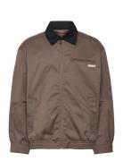 Calvin Klein Jeans A- Ls Cotton Fz Blouson Jacket Brun