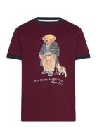 Ralph Lauren Kids Polo Bear Cotton Ringer Tee Burgundy