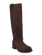 Steve Madden Banner Brun