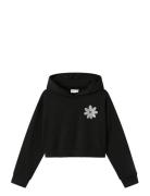 Name It Nkfkory Ls Crop Boxy Swe Wh Bru Ps Noos Svart