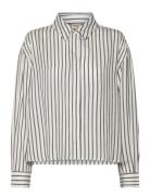 Fransa Frviolet Sh 1 Grå