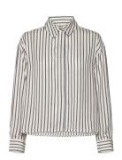 Fransa Frviolet Sh 1 Brun