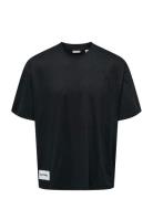 ONLY & SONS Onslale Ovz Ss Xt Tee Blå