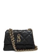 Steve Madden Bvolturi Svart