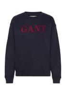GANT Graphic C-Neck Sweat Blå