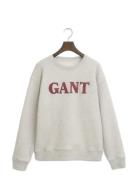 GANT Graphic C-Neck Sweat Grå