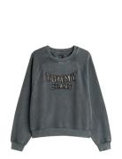 Tommy Jeans Tjw Bxy Leopard Varsity Crew Grå