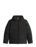 Tommy Hilfiger Down Hooded Puffer Jkt Grå