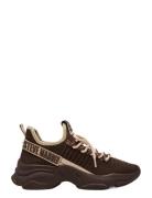 Steve Madden Mac-E Sneaker Brun