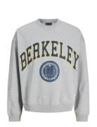 Jack & J S Jorberkeley Sweat C.n Styd Ss25 Grå