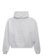 Prohibited Over D Hoodie Grå