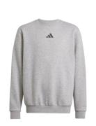 Adidas Sportswear J Allszn Gfx Sw Grå