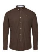 Clean Cut Copenhagen Oxford Stretch Plain L/S Brun